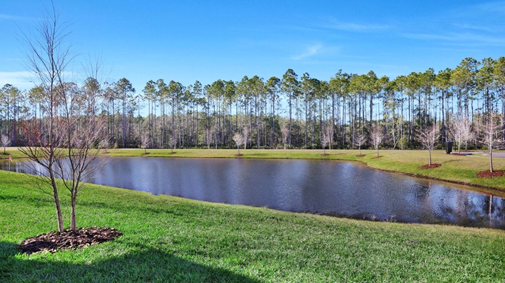 29 Web Or Mls 24 Big Pine 029