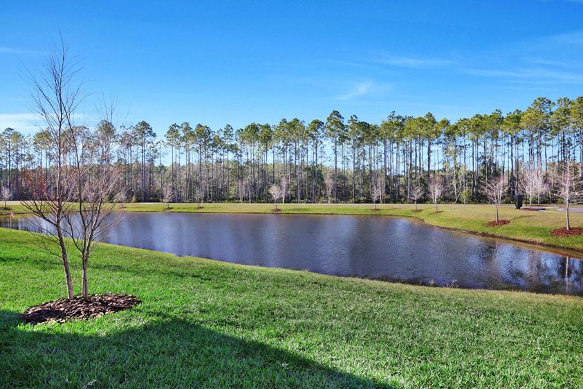 29 Web Or Mls 24 Big Pine 029