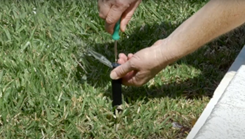 Riserirrigationthumb
