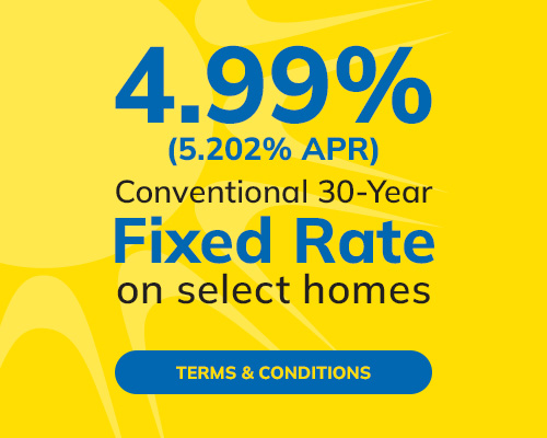 Fixed Rate 4 99